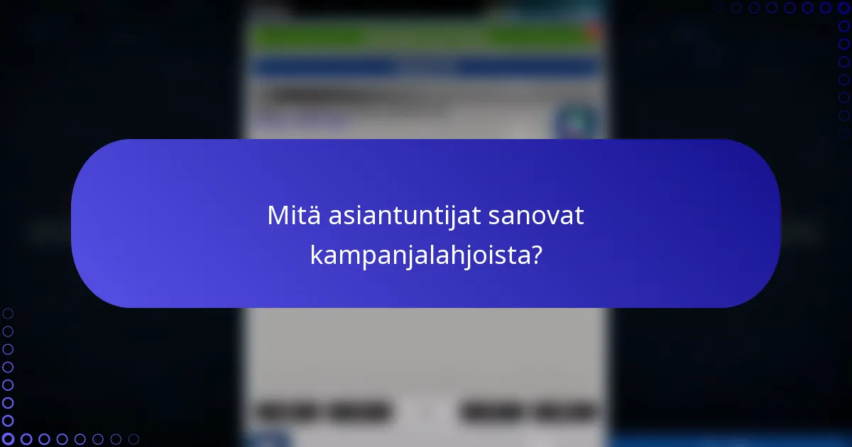 Mitä asiantuntijat sanovat kampanjalahjoista?